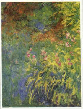 Claude Monet Irises, 1914-17 Norge oil painting art